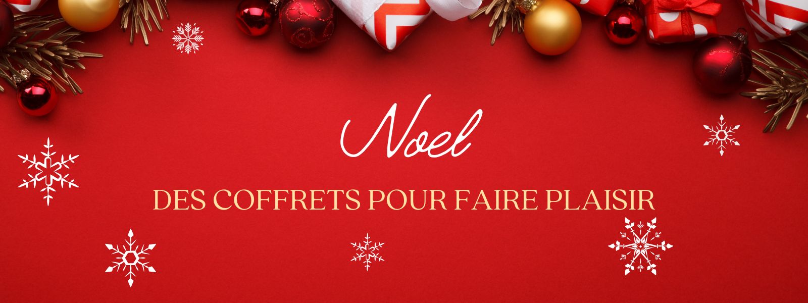 Noël 2025 — Echo Dot 5e génération