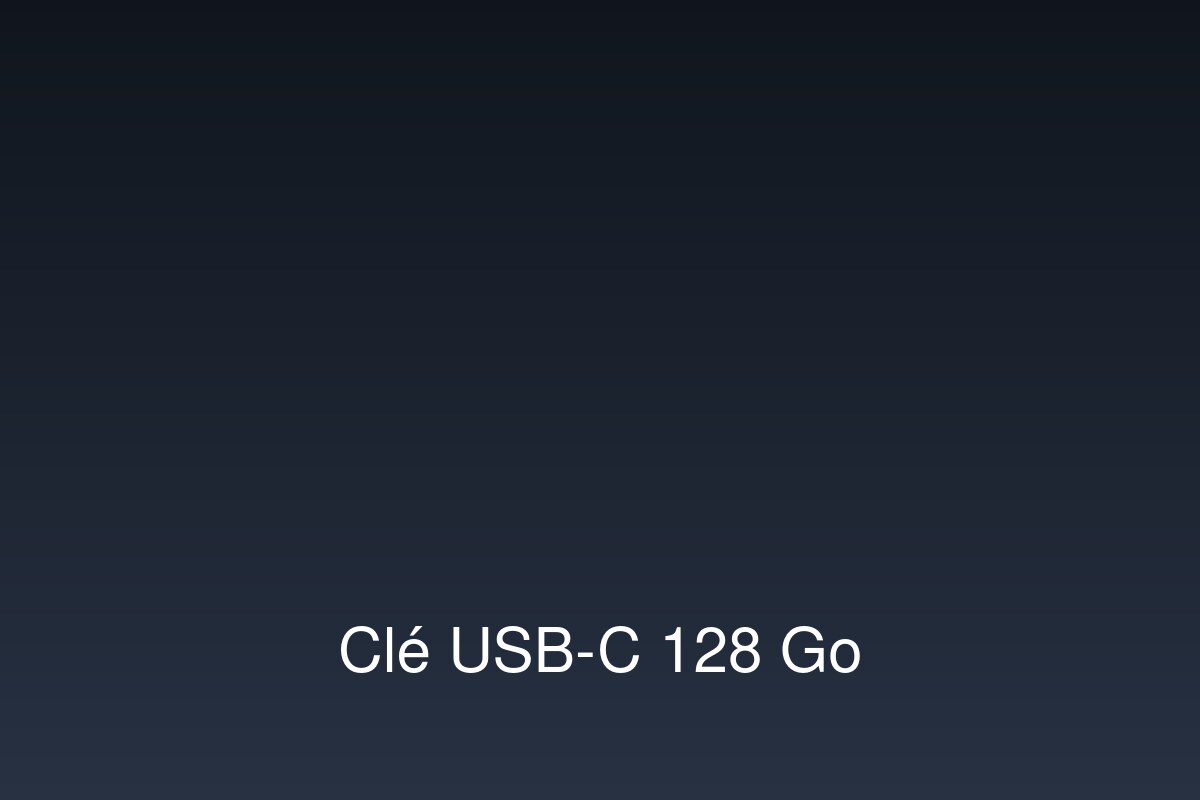 Clé USB-C 128 Go