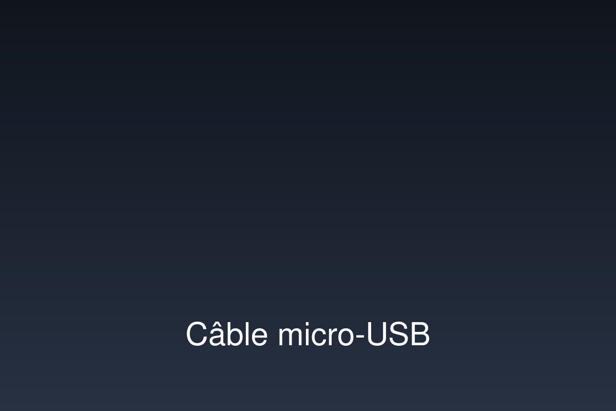 Câble micro-USB